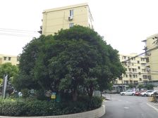 1梯2户居家装修拎包技能入住业主诚意出售