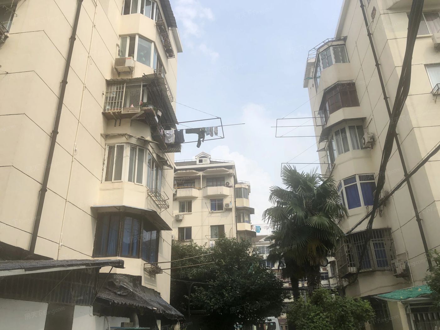 实景图
