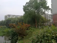 鹤鸣新村3室南朝向198.00万元/套出售