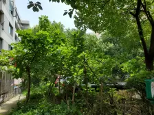 典藏大三房,傅雷门口,小区臻藏