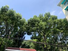 高安路一小书包,全明精装,电梯南北2房,高得房率