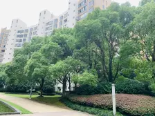 高区景观,诚意出售,价格可以沟通,提前预约即可