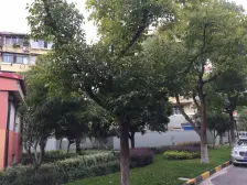 新出呼玛二村 精装修拎包入住二房 视野开阔 全天采光