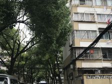 居家装修一房一厅带院子,上下楼方便