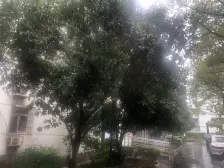 大开间,二梯四户,房型正气,采光充足,小区中心位置,中式风格