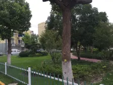 4楼满五年看房联系