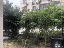 简约生活,从这里开始。绿色生活,与自然亲密接触