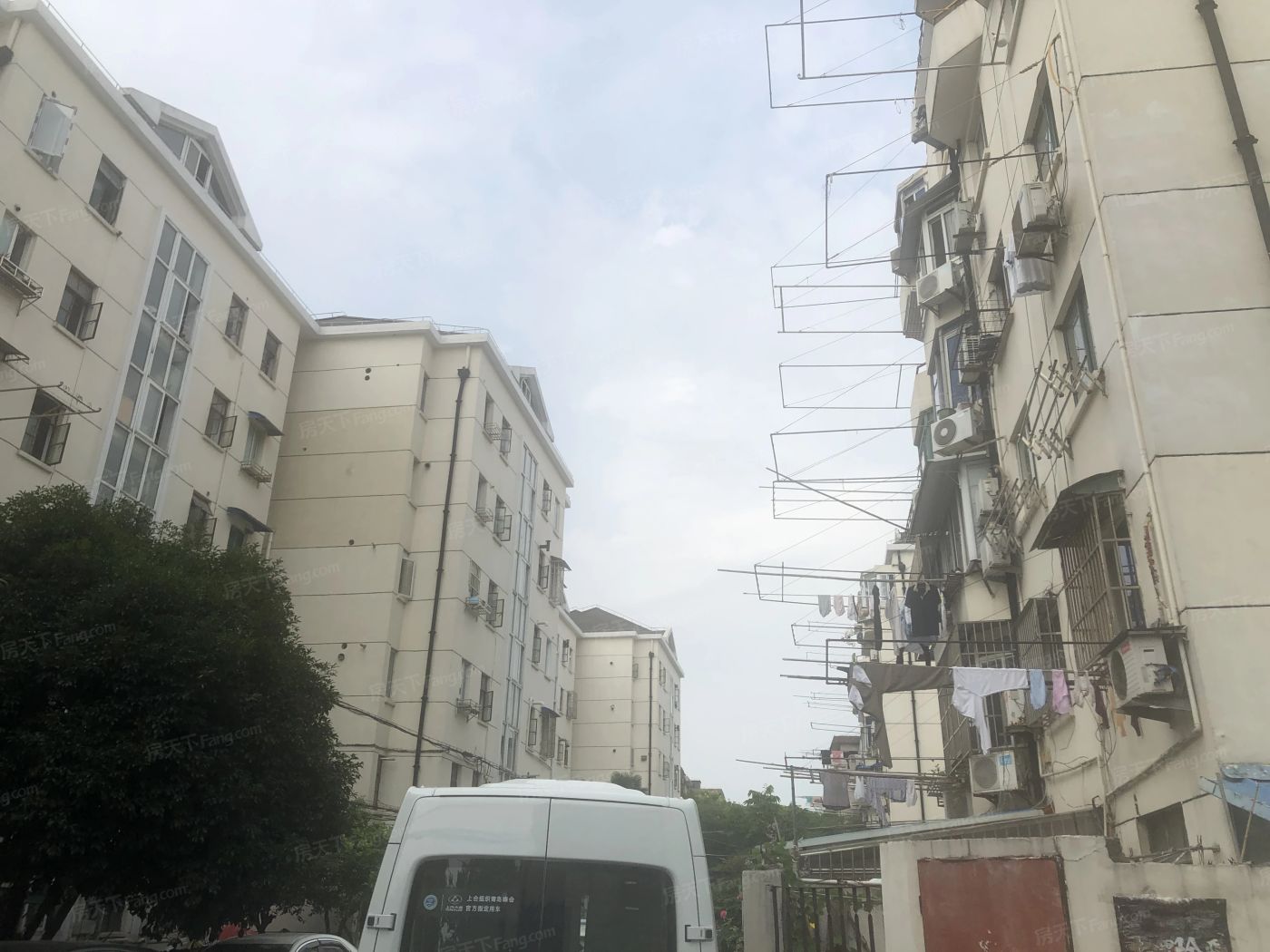 实景图