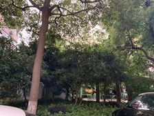 复旦+万体馆旁电梯房,朝南一房通风采光好,满五