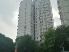 宝钢集团分的福利分房 2021年新做的美丽家园 双地铁