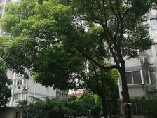 品质小区景观房三开间朝南采光好户型方正推窗见河