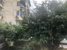 中套好房/视野宽阔/采光充足/交通便利