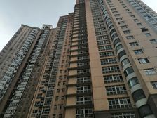 中皇广场1室1厅南