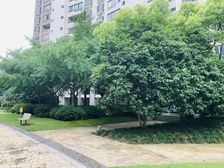 近地铁,大平层产权清晰无抵押,新上房源