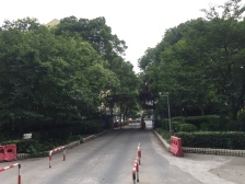 新出呼玛二村 精装修拎包入住二房 视野开阔 全天采光