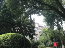 静安花苑、全明户型、单价低、业主看中买的房子、到价签字。