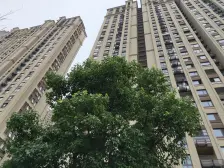 轻轨边 品质小区上湖雅苑 通透四房两卫 好楼层 配套齐