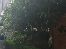 品质小区,户型正气, 烫金地段,停车方便,诚意卖房