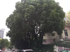 通河二村,中间楼层,总价低一房,看房有钥匙。