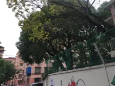 近地铁 产权清晰,毛坯 刚需上车,必看好房