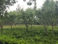 满伍1/2维壹+两房朝南南北通+看房方便+价格可谈!!!