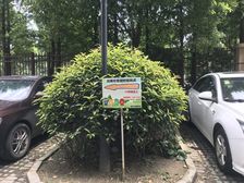 桃浦·安居锦竹苑·2室·1厅