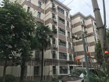 桃浦三村石榴苑 1室1厅 南