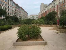 带平台小院,山大国际海水浴场南,蓝天广场的电梯房