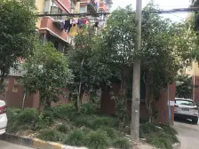 桃浦三村石榴苑 2室1厅 南