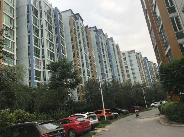 世纪龙鼎实景图