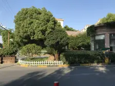 本方是电梯复式,四房,重要空调地暖装修自住保养全新