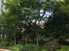 近地//铁次新房,无遮挡视野采光充足,拎包入住,诚意卖