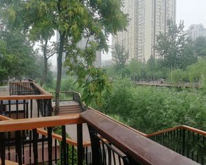红莲北里2室1厅南