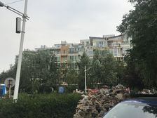 龙鼎园3室1厅南北
