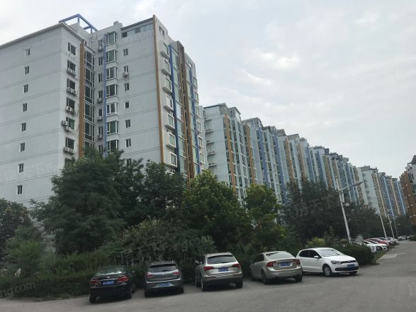 世纪龙鼎实景图