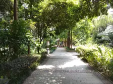 双轻轨 配套成熟 朝南看中庭 居家安静舒适带露台花园