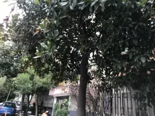 南北通大三房近地铁,中环旁,美丽家园改造示范小区。