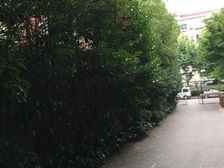 中间楼层,刚需上车,新上房源