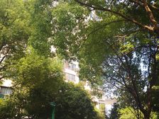 阳光美景+南北通透+双规交通+户型正气+业主诚售