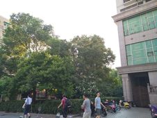 云河大厦新出低总价两室楼层采光好房东诚心卖