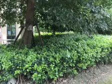 新上电梯房!普陀区+13年小区,户型方正,前面无遮挡~