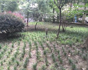 华西花园二期2室1厅东南