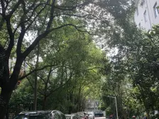 近地铁,朝南,楼层佳,采光好,便捷,成本低,满五年