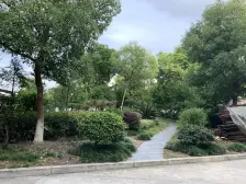 精装修,拎包入住,动静分离,凤凰楼层!!!