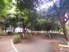 西区 汇祥好莱坞三房62.8万