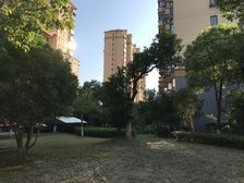 莘闵电梯1房,中间楼层,满五年方便看,装修自住