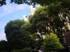 近地铁,环境优美,得房率高,采光充足