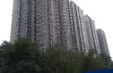 天通苑西二区实景图