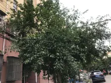 准电梯房 近地铁 双南小两房 自住诚意出售