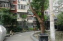 红莲北里实景图
